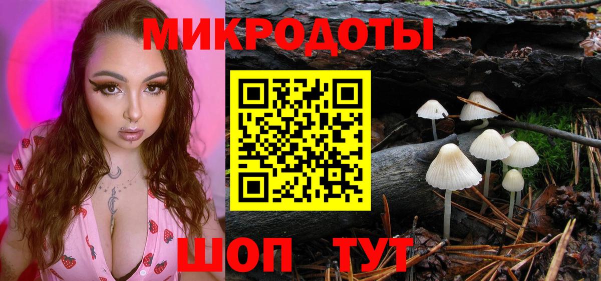 Псилоцибиновые грибы ЛСД Сунжа
