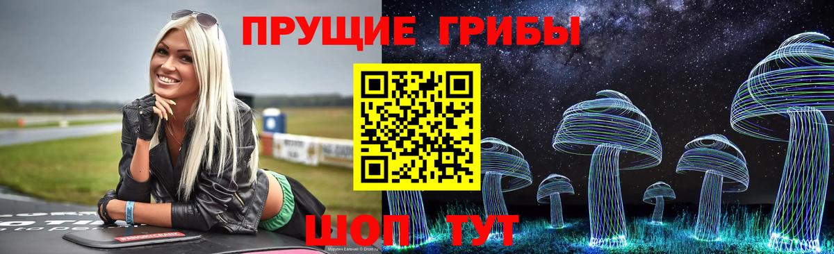Галлюциногенные грибы ЛСД  Вход с VPN  Галлюциногенные грибы мицелий  купить   Сунжа 